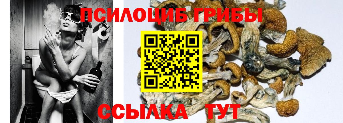 Галлюциногенные грибы мицелий  Вход с VPN  Галлюциногенные грибы MAGIC MUSHROOMS  Урюпинск 