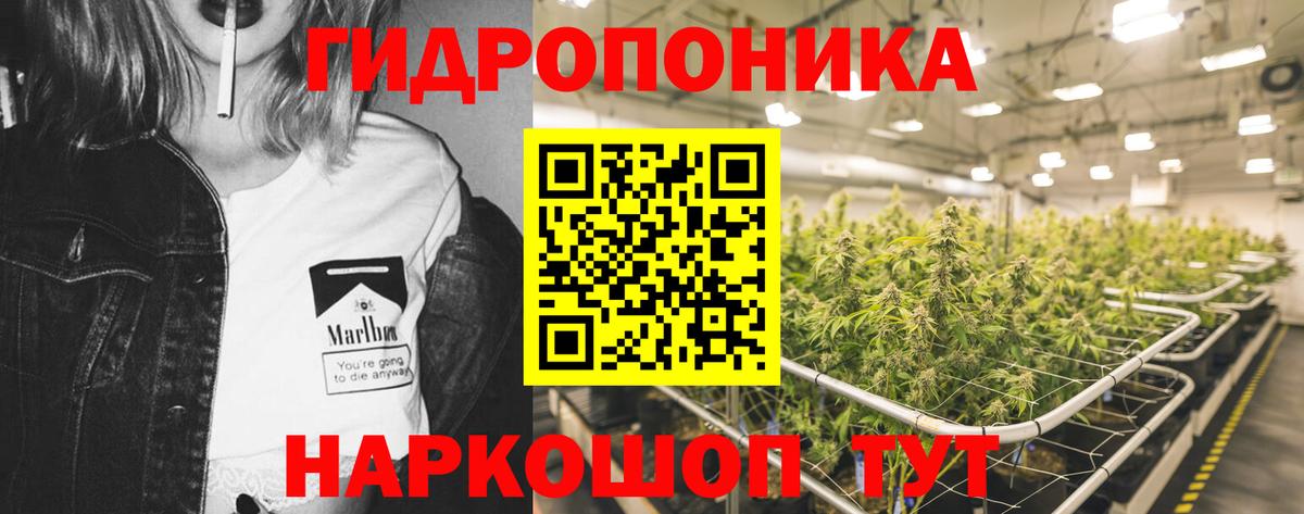 Канабис конопля  Вход с VPN  Марихуана план  Бошки марихуана индика  Канабис планчик  Урюпинск 